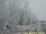 Hottergrenze und Neufelder Au 