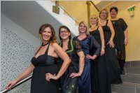 Ebenfurther Stadtball, 21.01.2017