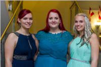 Ebenfurther Stadtball, 21.01.2017