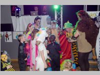 Kindermaskenball der Ebenfurther Kinderfreunde, 07.02.2015