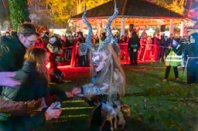 Perchtenlauf am Ebenfurther Adventmarkt, 29.11.2025