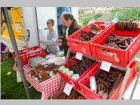 3. Schmankerlmarkt in Ebenfurth, 04.05.2014