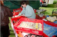 4. Schmankerlmarkt in Ebenfurth, 03.05.2015