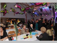 8. VP-Ball in Hornstein, 01.02.2014