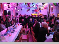 8. VP-Ball in Hornstein, 01.02.2014