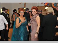 8. VP-Ball in Hornstein, 01.02.2014