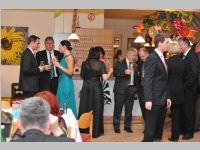 8. VP-Ball in Hornstein, 01.02.2014