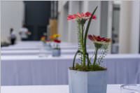 Sigmapharm: Baustellenfest am Standort Hornstein, 23.06.2017