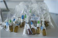 Sigmapharm: Baustellenfest am Standort Hornstein, 23.06.2017
