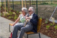 Sigmapharm: Baustellenfest am Standort Hornstein, 23.06.2017