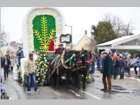 lw_fasching13_009.jpg