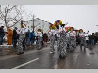 lw_fasching13_249.jpg