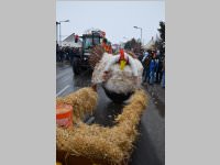 lw_fasching13_262.jpg