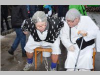 lw_fasching13_321.jpg