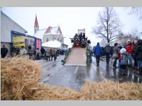 lw_fasching13_447.jpg