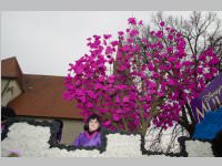 151. Lichtenwrther Faschingsumzug, 02.03.2014