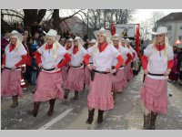 151. Lichtenwrther Faschingsumzug, 02.03.2014