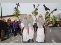 151. Lichtenwrther Faschingsumzug, 02.03.2014