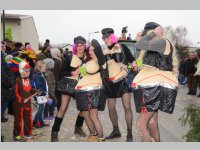 151. Lichtenwrther Faschingsumzug, 02.03.2014