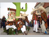 151. Lichtenwrther Faschingsumzug, 02.03.2014