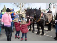 152. Lichtenwrther Faschingsumzug, 15.02.2015