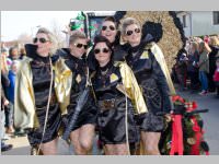152. Lichtenwrther Faschingsumzug, 15.02.2015