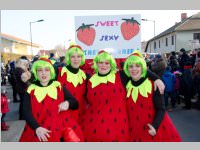 152. Lichtenwrther Faschingsumzug, 15.02.2015