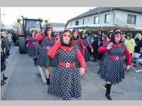 152. Lichtenwrther Faschingsumzug, 15.02.2015