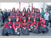 152. Lichtenwrther Faschingsumzug, 15.02.2015