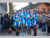 152. Lichtenwrther Faschingsumzug, 15.02.2015