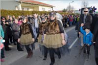 153. Lichtenwrther Faschingsumzug, 07.02.2016