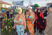 153. Lichtenwrther Faschingsumzug, 07.02.2016