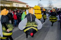 153. Lichtenwrther Faschingsumzug, 07.02.2016