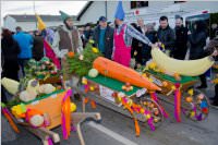 153. Lichtenwrther Faschingsumzug, 07.02.2016