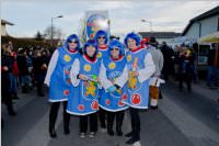 153. Lichtenwrther Faschingsumzug, 07.02.2016