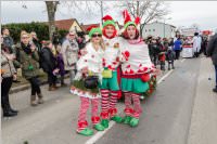 154. Lichtenwrther Faschingsumzug, 26.02.2017