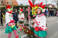154. Lichtenwrther Faschingsumzug, 26.02.2017