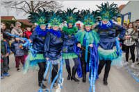154. Lichtenwrther Faschingsumzug, 26.02.2017
