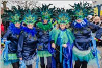 154. Lichtenwrther Faschingsumzug, 26.02.2017