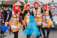 154. Lichtenwrther Faschingsumzug, 26.02.2017