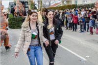 154. Lichtenwrther Faschingsumzug, 26.02.2017