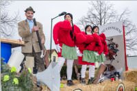 154. Lichtenwrther Faschingsumzug, 26.02.2017