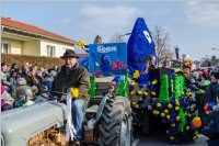 155. Lichtenwrther Faschingsumzug, 11.02.2018