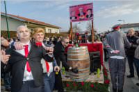155. Lichtenwrther Faschingsumzug, 11.02.2018
