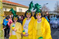 155. Lichtenwrther Faschingsumzug, 11.02.2018