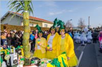 155. Lichtenwrther Faschingsumzug, 11.02.2018