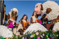 155. Lichtenwrther Faschingsumzug, 11.02.2018