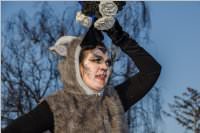 155. Lichtenwrther Faschingsumzug, 11.02.2018