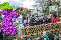 156. Lichtenwörther Faschingsumzug, 03.03.2019