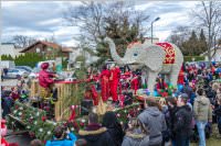 156. Lichtenwörther Faschingsumzug, 03.03.2019